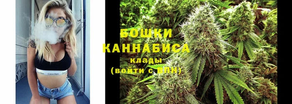 крисы Болохово