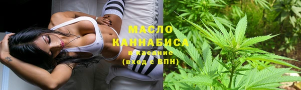 крисы Болохово